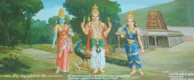 Pazhamuthircolai