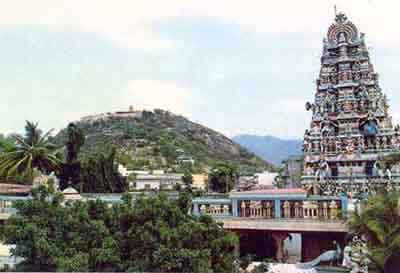 Tiruvavinankudi Temple with Palani Malai in background