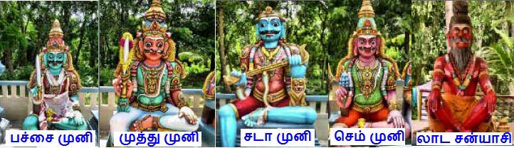 கசமஸல சித்தரின் விருப்பப்பழ ஆலயத்தில் பிரதிசூடை டிசய்யப்பட்டு உள்ள பல் வெறு
முனிவர்களின் சிஸலகள்