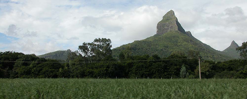 Piton de la Petite Rivire Noire