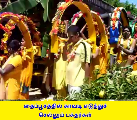 Kavadi at Tai Pusam in Fiji